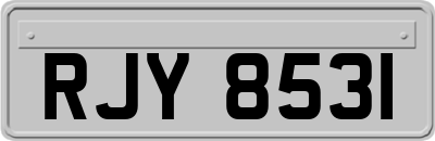 RJY8531