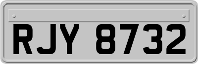 RJY8732