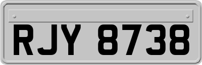 RJY8738