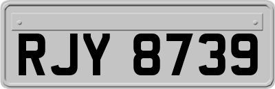 RJY8739