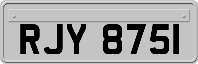 RJY8751