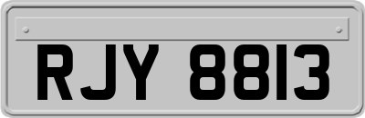 RJY8813