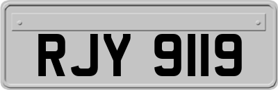 RJY9119