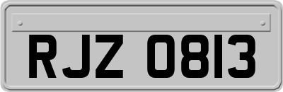 RJZ0813