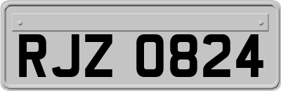 RJZ0824