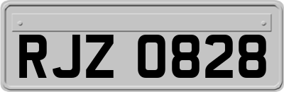 RJZ0828