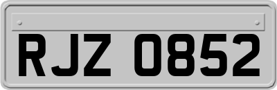 RJZ0852