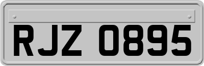 RJZ0895