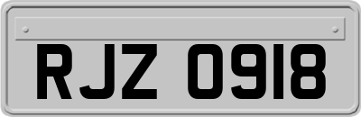 RJZ0918