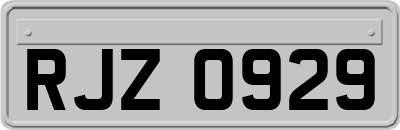 RJZ0929