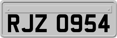 RJZ0954