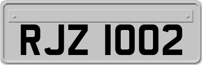 RJZ1002