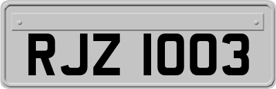 RJZ1003