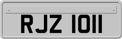 RJZ1011