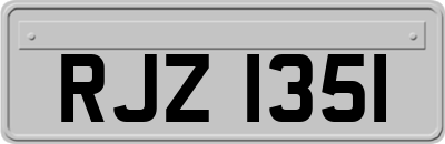 RJZ1351