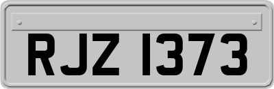 RJZ1373