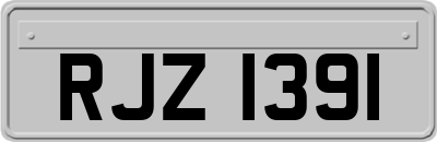 RJZ1391