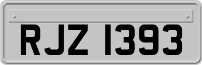 RJZ1393