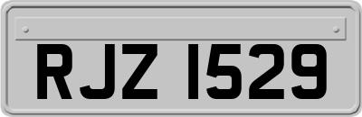 RJZ1529