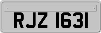 RJZ1631