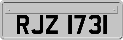 RJZ1731