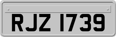 RJZ1739