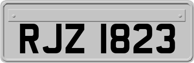 RJZ1823