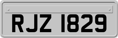 RJZ1829