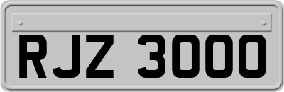 RJZ3000