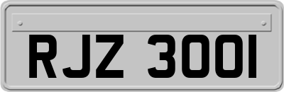 RJZ3001