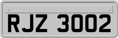 RJZ3002