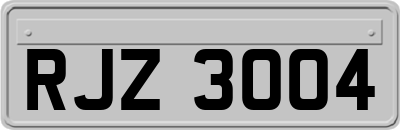 RJZ3004