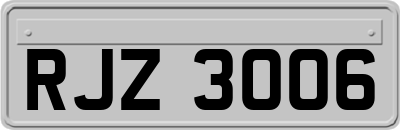 RJZ3006