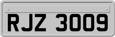 RJZ3009