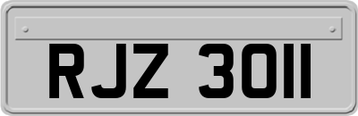 RJZ3011