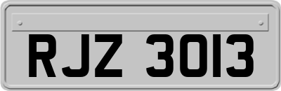 RJZ3013