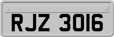 RJZ3016