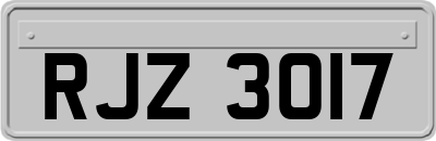 RJZ3017