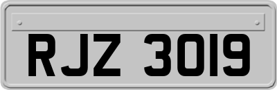 RJZ3019