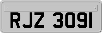 RJZ3091