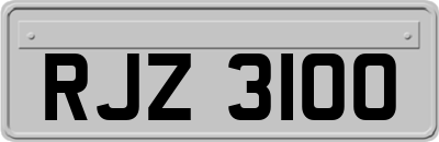 RJZ3100