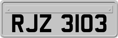 RJZ3103