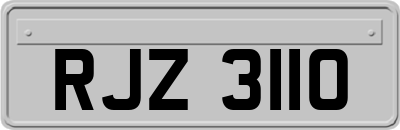 RJZ3110