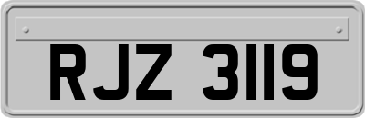 RJZ3119