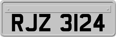 RJZ3124