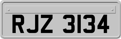 RJZ3134