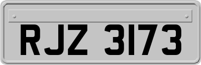 RJZ3173