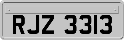 RJZ3313