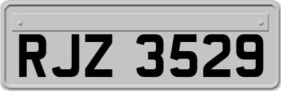 RJZ3529