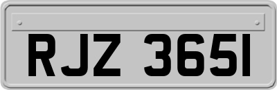 RJZ3651